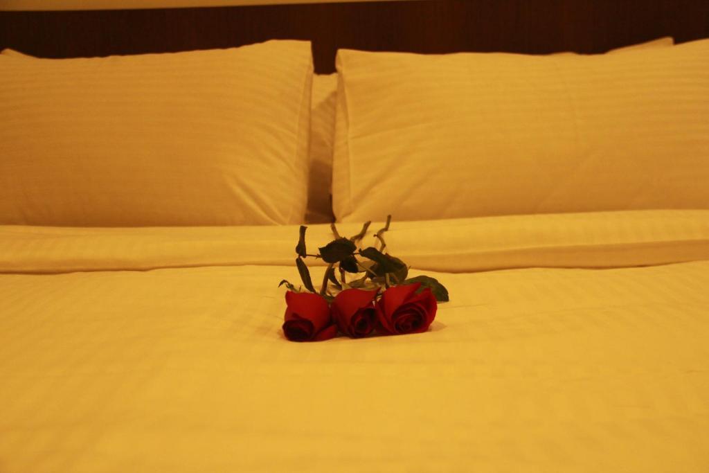 Aparthotel Cove D'Arena Singapore Esterno foto